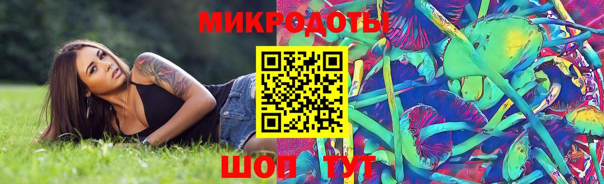 Псилоцибиновые грибы GOLDEN TEACHER Ростов-на-Дону